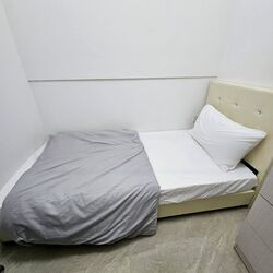 Normanton Park (D5), Apartment #577090801